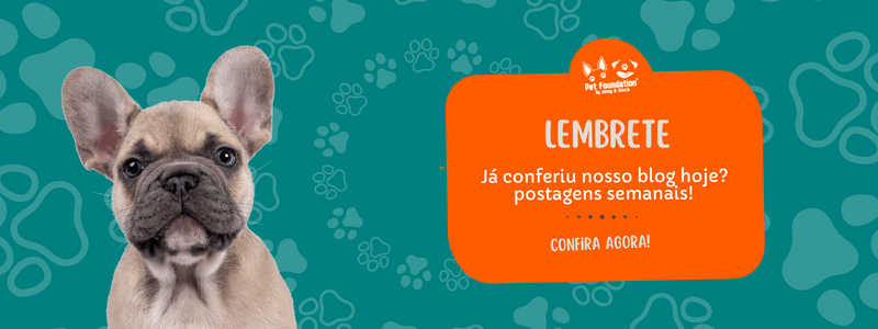 Blog Pet Foundation